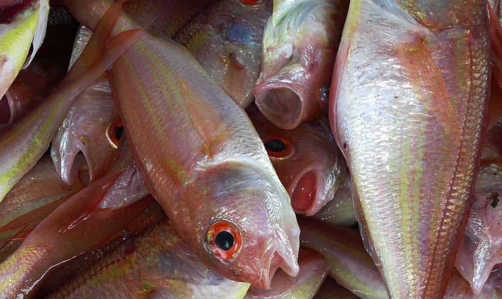 Doorstep fishmongers scam warning to Gedling borough residents