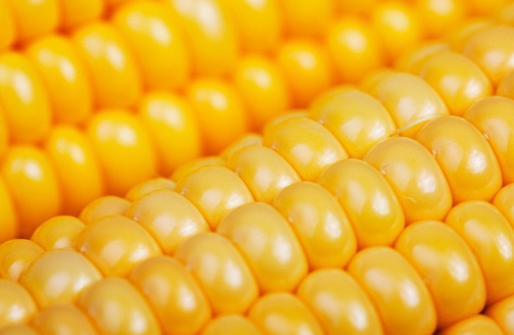 Supermarkets across Gedling borough recall more frozen products due to listeria contamination fears