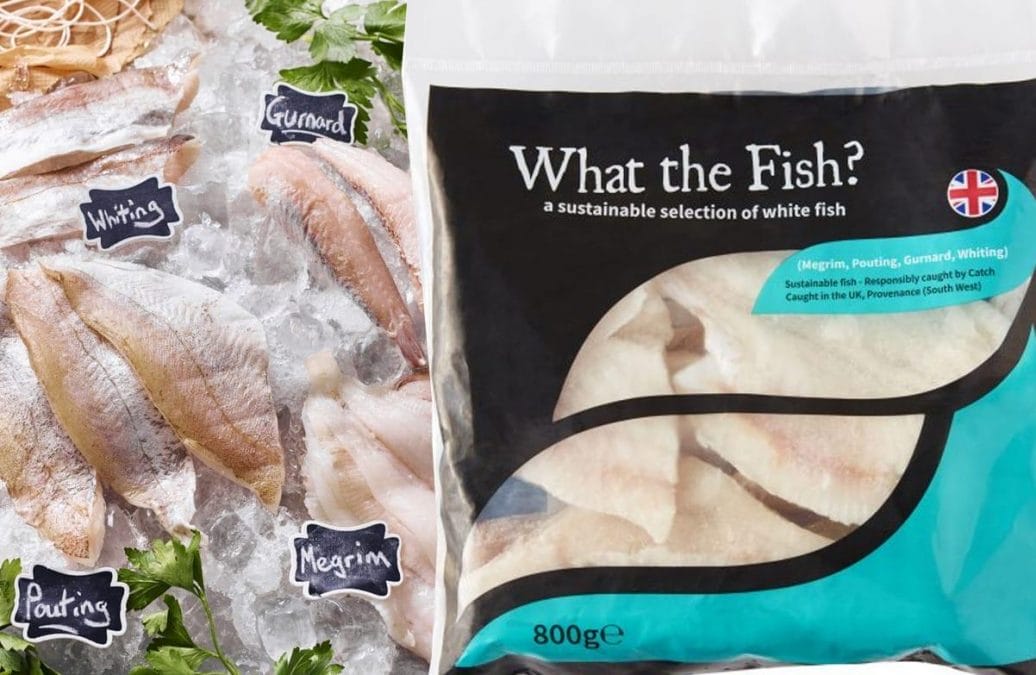 Iceland now selling fish normally thrown back into the sea