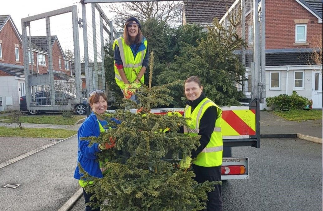 Raise money for hospice in Mapperley by recycling your tree
