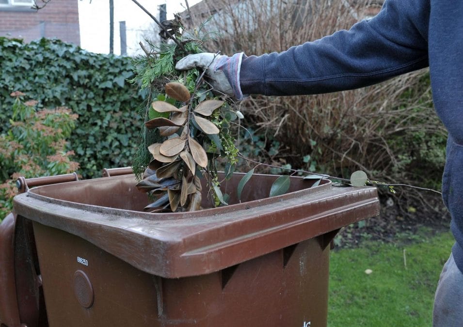 Pink sticker reminder for garden waste collection customers from