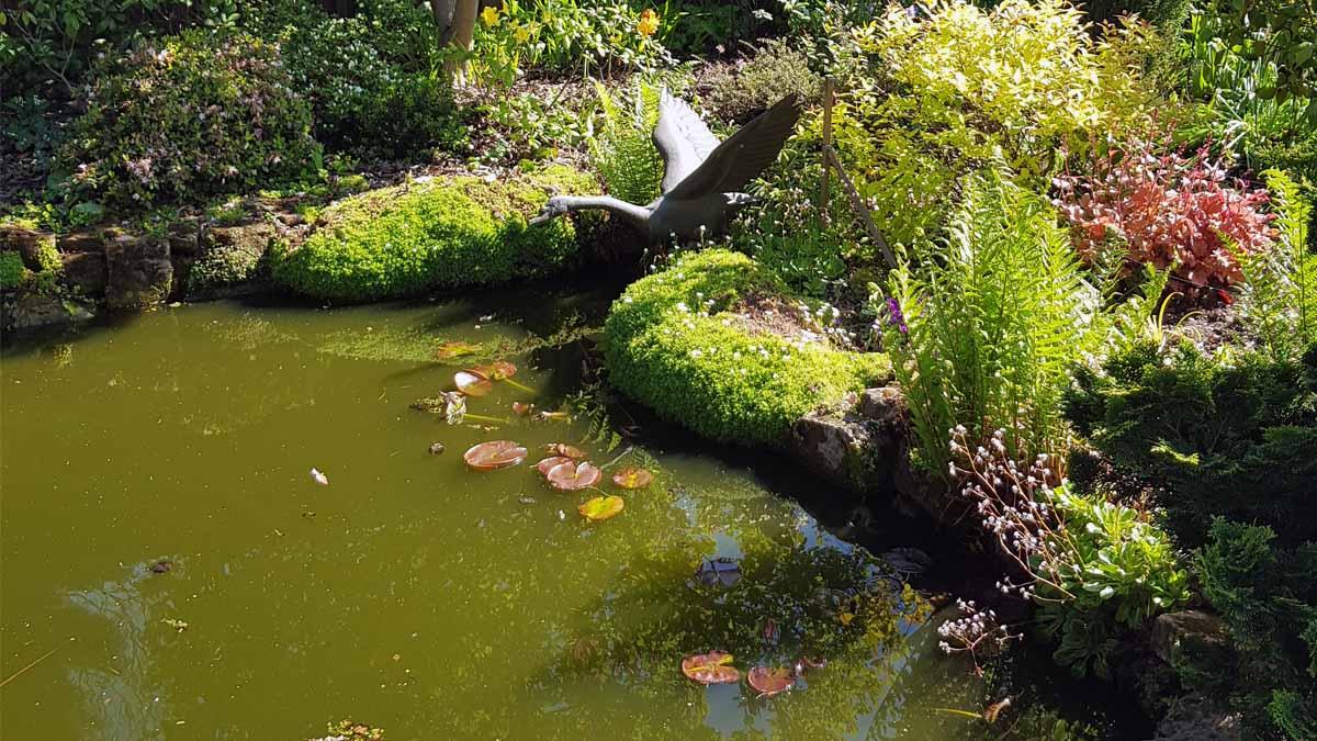 Stunning gardens in Burton Joyce will open to visitors for Hospice charity
