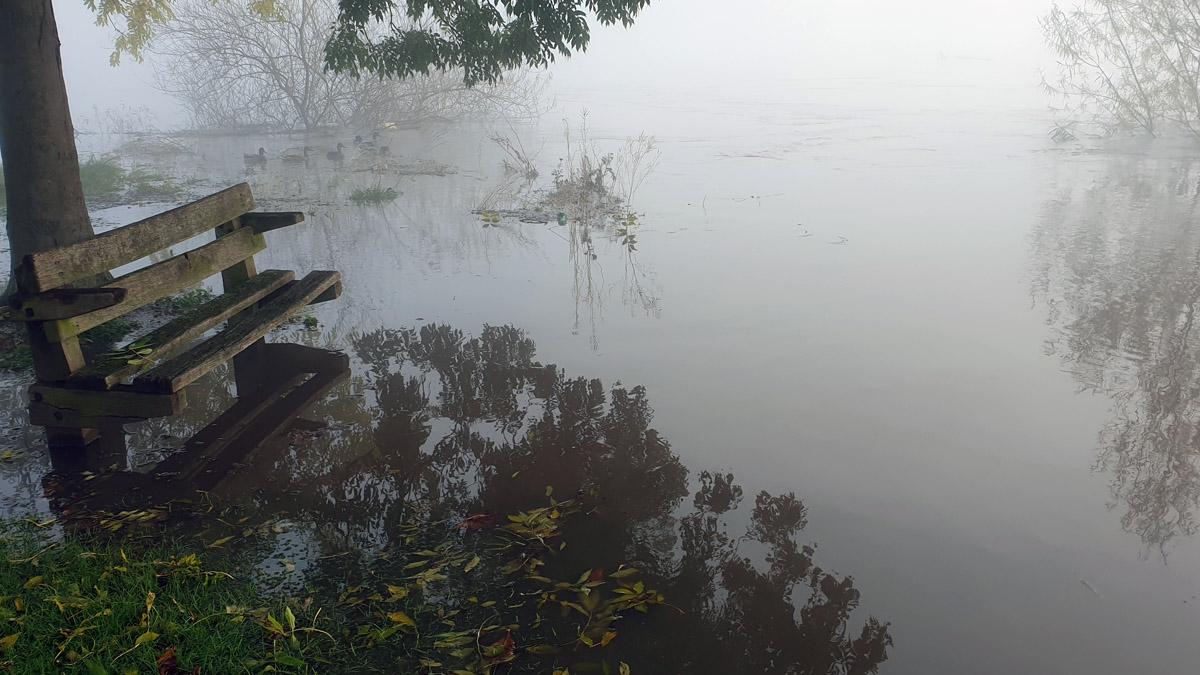 Flood alert: River Trent levels continue to rise at Stoke Bardolph