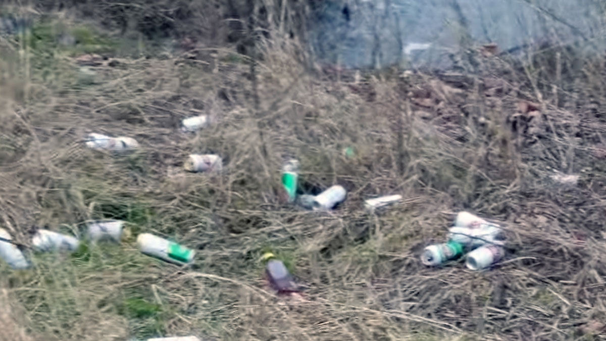 Beer cans Stoke Bardolph