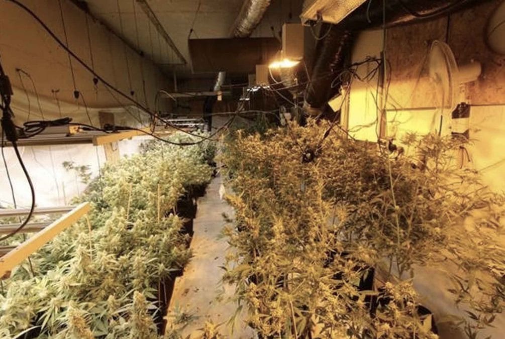 Men charged after £1m cannabis grow discovered at Mapperley property