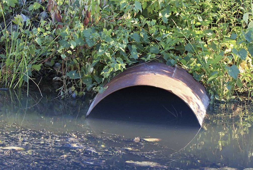 Sewage vote: How our Gedling borough MPs voted as amendment to clamp down on sewage-dumping is rejected