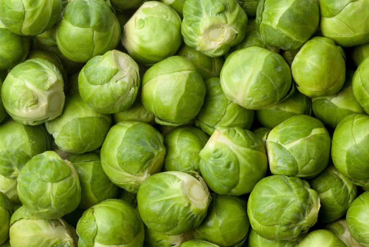 Brussel-sprouts