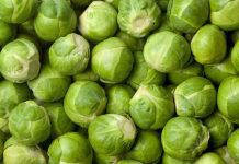 Brussel-sprouts