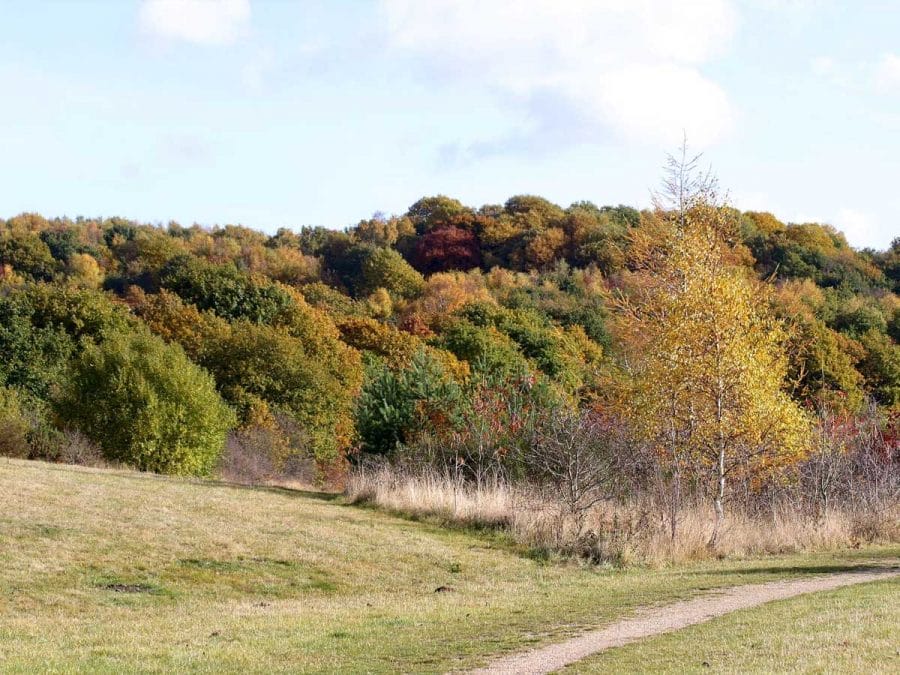 Bestwood Country Park
