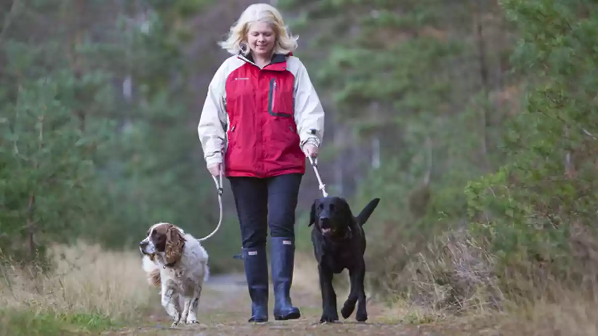 Nottinghamshire Wildlife Trust appeals to Gedling dog owners for help in protecting nesting birds this spring