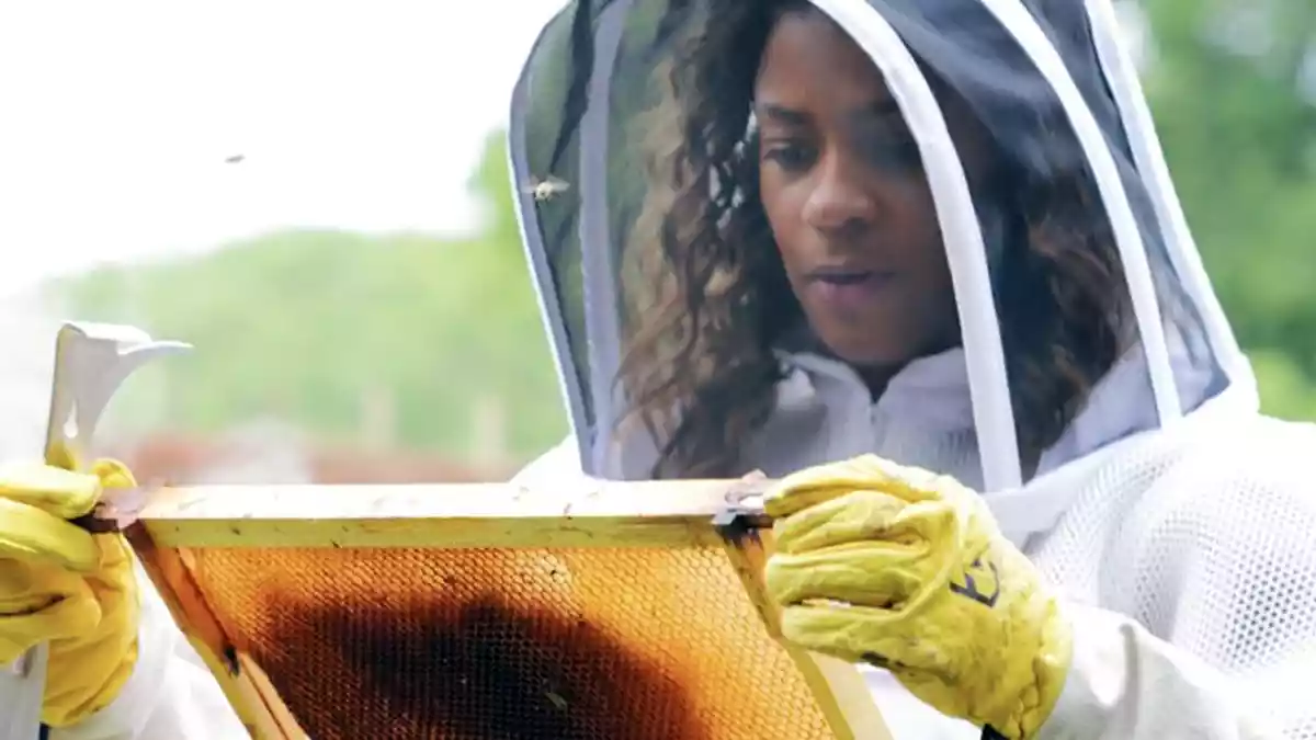 The search is on in Gedling borough to find Britain’s ‘Hobby Hero’