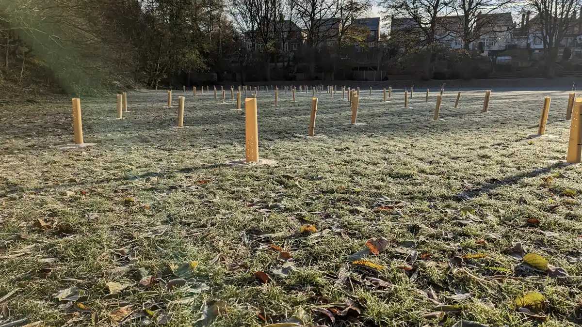 Funding secured for new trees in Gedling borough parks and open spaces providing much-needed boost for nature