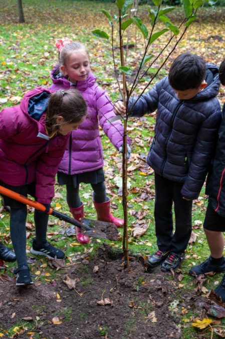 Veolia Orchard is back to help schools blossom with biodiversity across Gedling borough