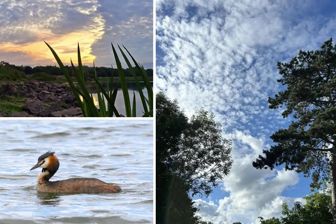 READERS’ GALLERY: Sunday, July 7